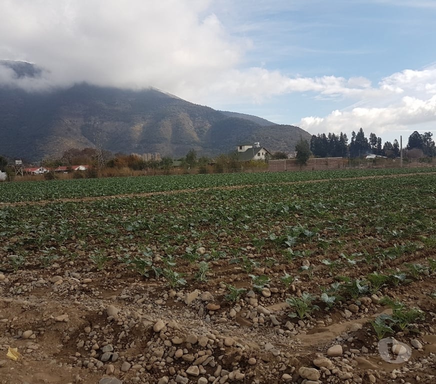 Parcelas en Venta Maipo Paine - Fotos de Venta Parcela 4,59 hectáreas, Águila Norte.