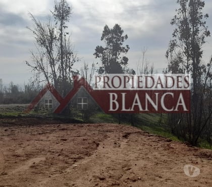 Terrenos en Venta Quilpué Valparaíso - Fotos de PARCELA CON ROL PROPIO LINDA VISTA