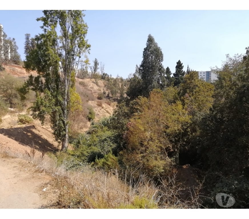 Parcelas en Venta Valparaíso Viña del Mar - Fotos de TERRENO IDEAL INVERSIÓN REÑACA ALTO.