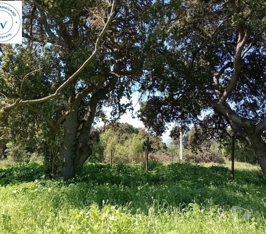 Parcelas en Venta Valparaíso Quintero - Fotos de Venta Parcela En Valle Del Estero