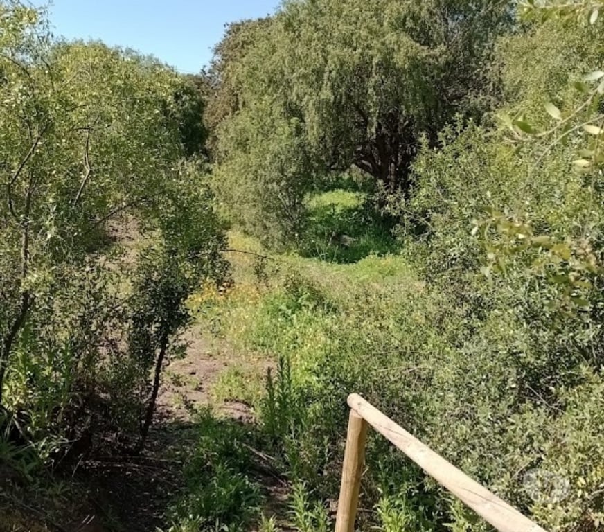 Parcelas en Venta Valparaíso Quintero - Fotos de Venta Parcela En Valle Del Estero