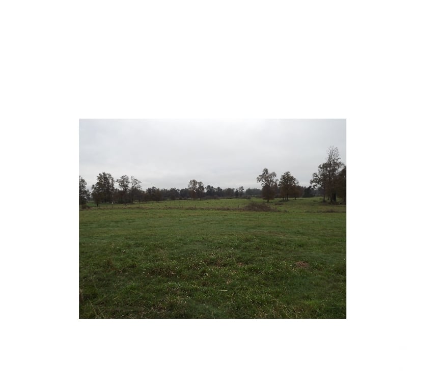 Venta de Haciendas Ranco La Unión - Fotos de Parcela de 18 he.
