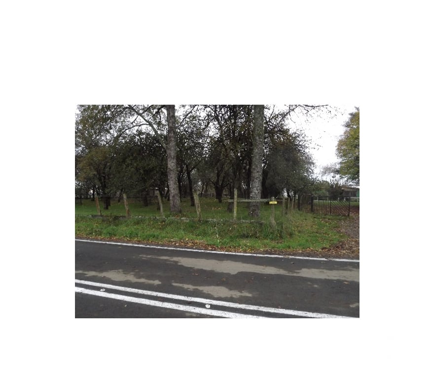 Venta de Haciendas Ranco La Unión - Fotos de Parcela de 18 he.