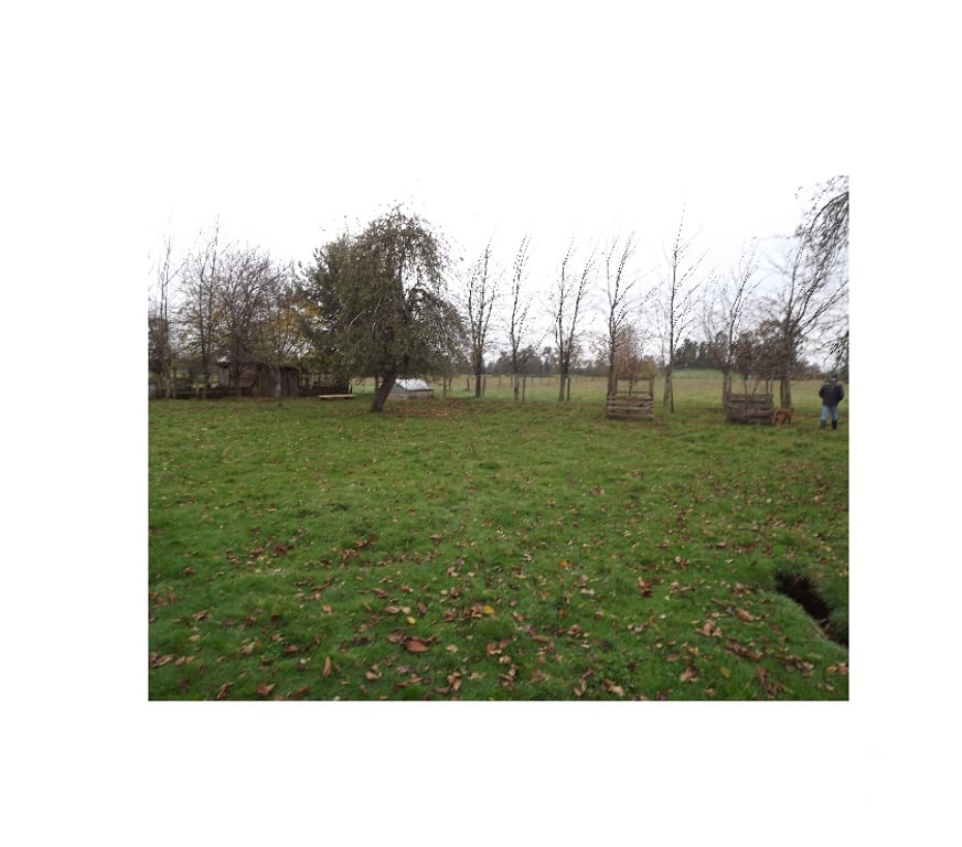 Venta de Haciendas Ranco La Unión - Fotos de Parcela de 18 he.