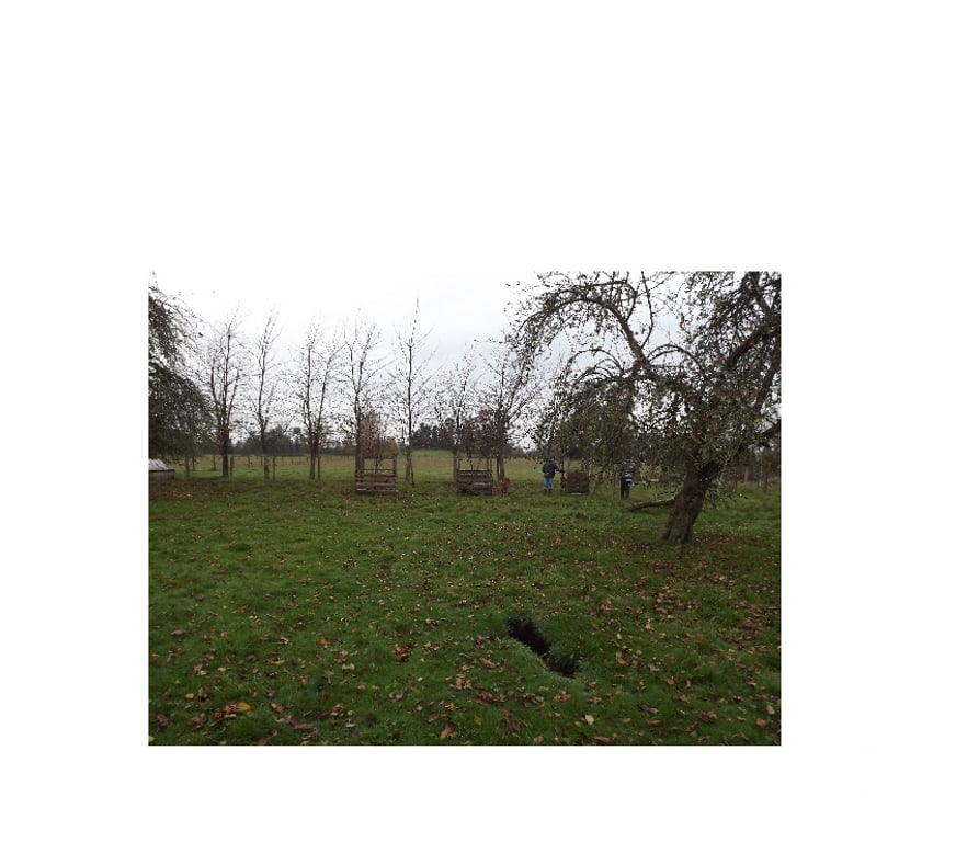Venta de Haciendas Ranco La Unión - Fotos de Parcela de 18 he.