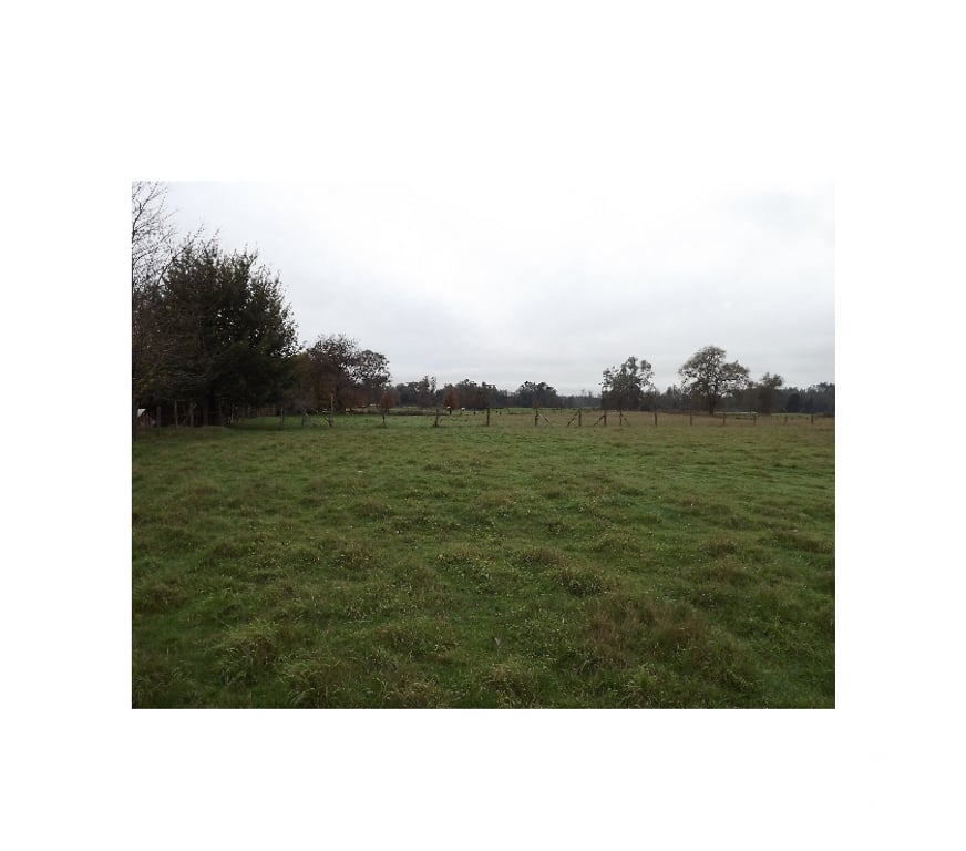 Venta de Haciendas Ranco La Unión - Fotos de Parcela de 18 he.