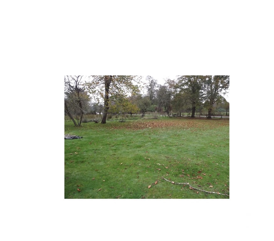 Venta de Haciendas Ranco La Unión - Fotos de Parcela de 18 he.