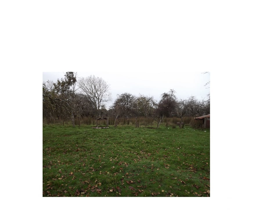 Venta de Haciendas Ranco La Unión - Fotos de Parcela de 18 he.