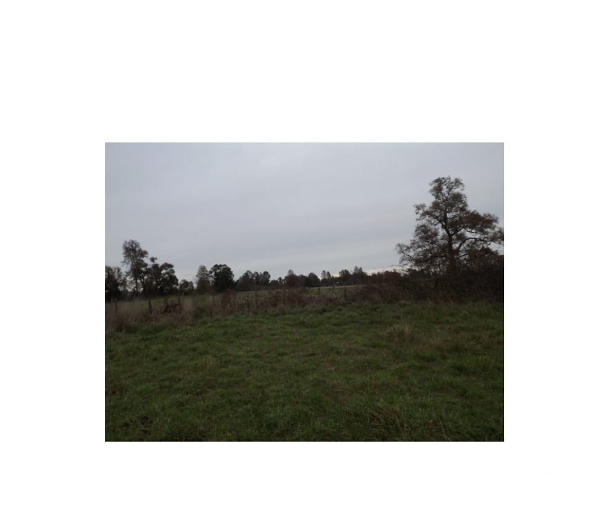 Venta de Haciendas Ranco La Unión - Fotos de Parcela de 18 he.
