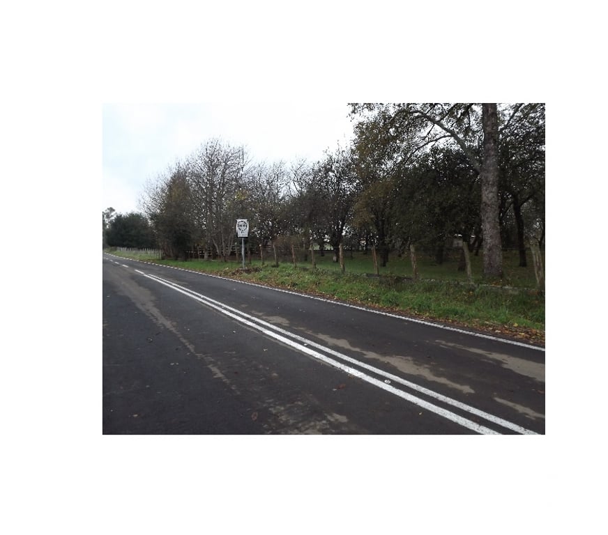 Venta de Haciendas Ranco La Unión - Fotos de Parcela de 18 he.