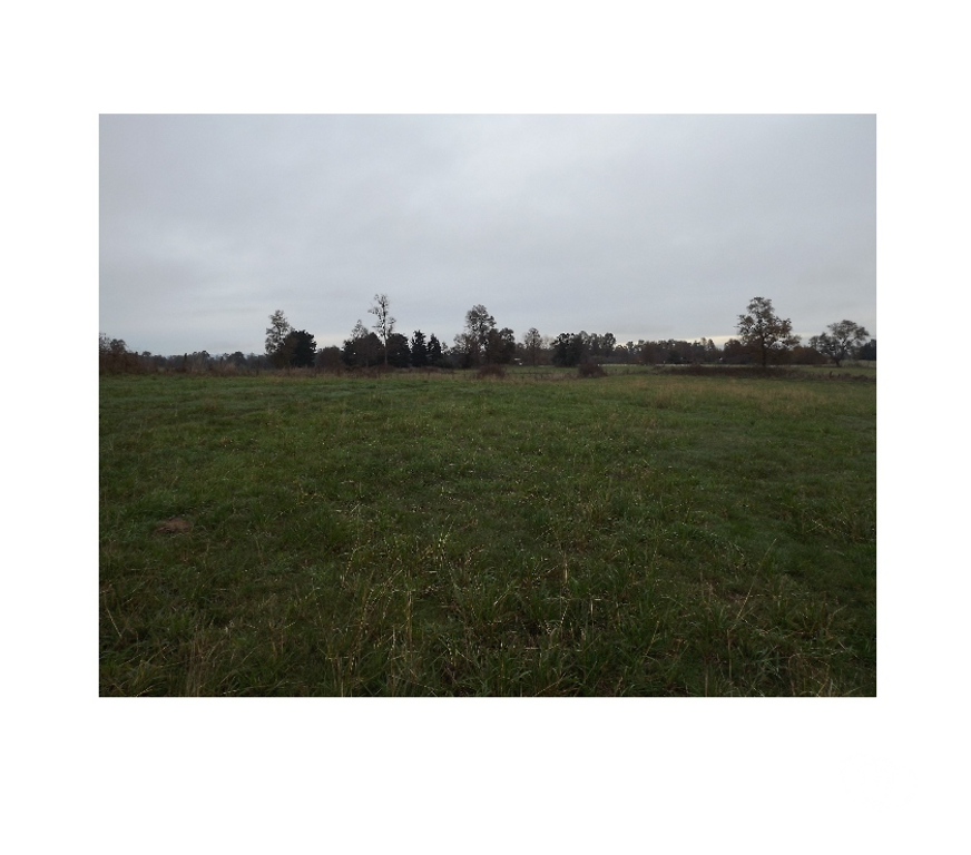 Venta de Haciendas Ranco La Unión - Fotos de Parcela de 18 he.