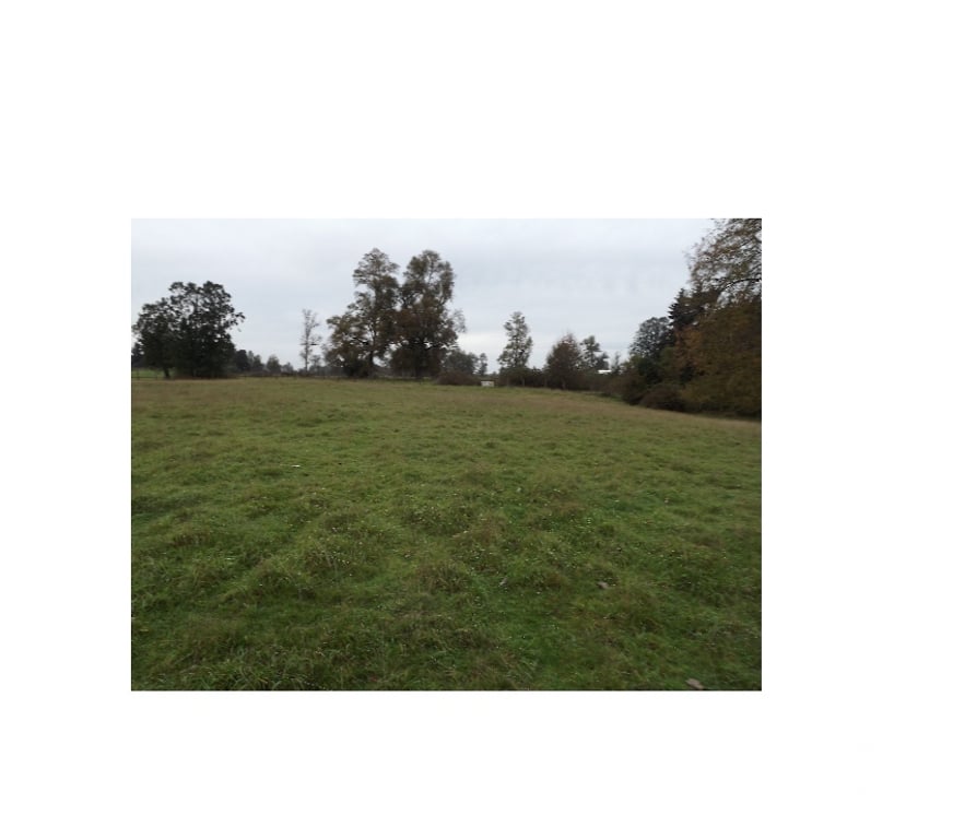 Venta de Haciendas Ranco La Unión - Fotos de Parcela de 18 he.