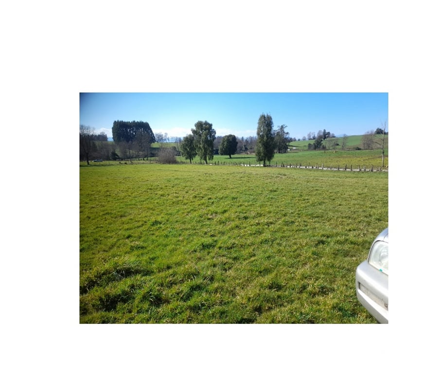 Venta de Haciendas Valdivia Paillaco - Fotos de Parcela en Venta