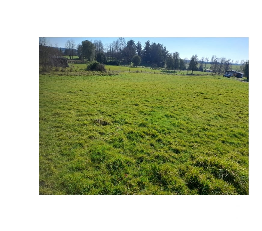Venta de Haciendas Valdivia Paillaco - Fotos de Parcela en Venta