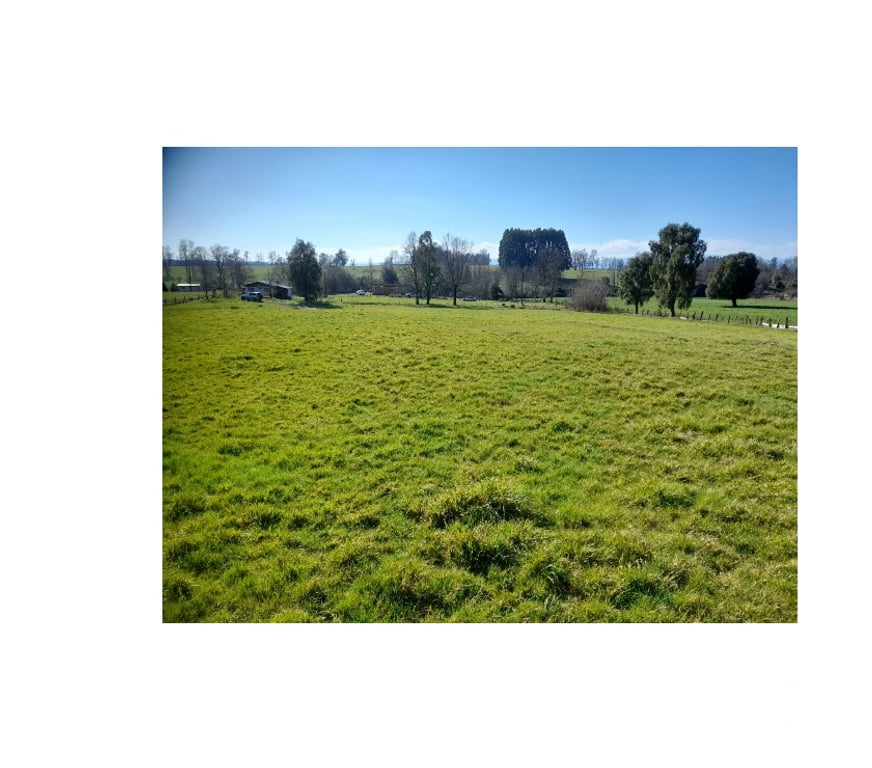 Venta de Haciendas Valdivia Paillaco - Fotos de Parcela en Venta