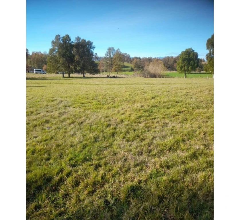 Venta de Haciendas Valdivia Paillaco - Fotos de Parcela en Venta