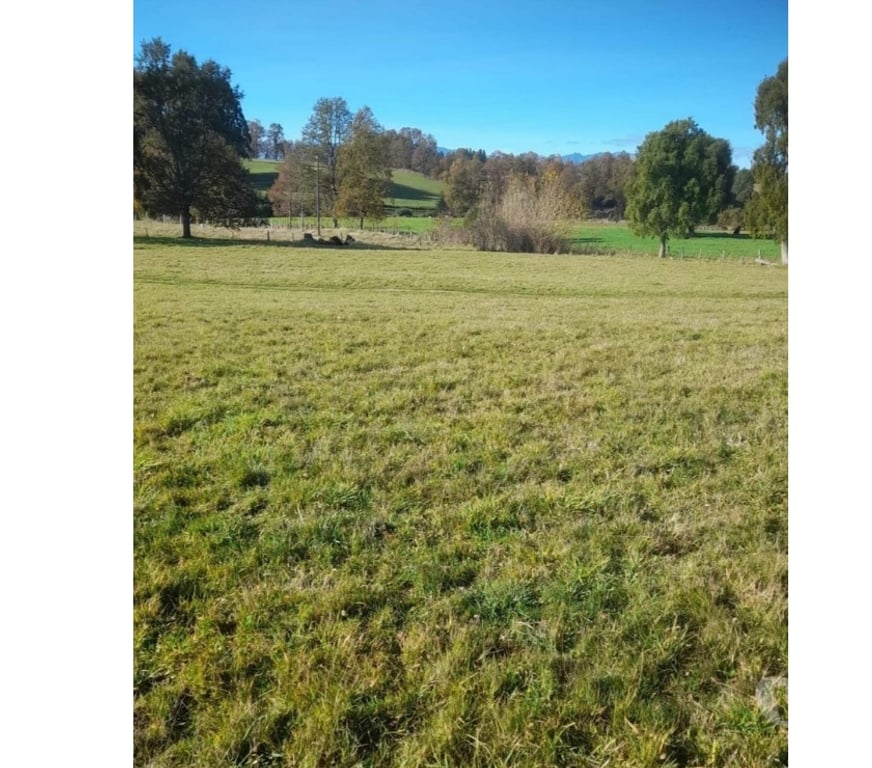 Venta de Haciendas Valdivia Paillaco - Fotos de Parcela en Venta
