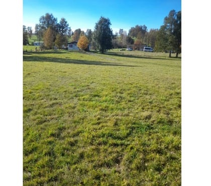 Haciendas en Venta Paillaco Valdivia - Fotos de Parcela en Venta