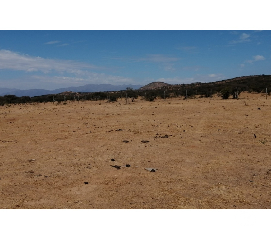 Parcelas en Venta Quillota Limache - Fotos de PARCELA PLANA SECTOR LOS BORRISQUEROS LIMACHE.