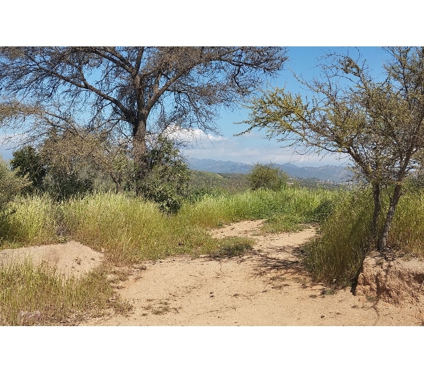 PARCELA EN CAJON DEL LEBU LIMACHE