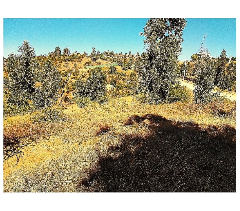 PARCELA EN VENTA CAJON DEL LEBU