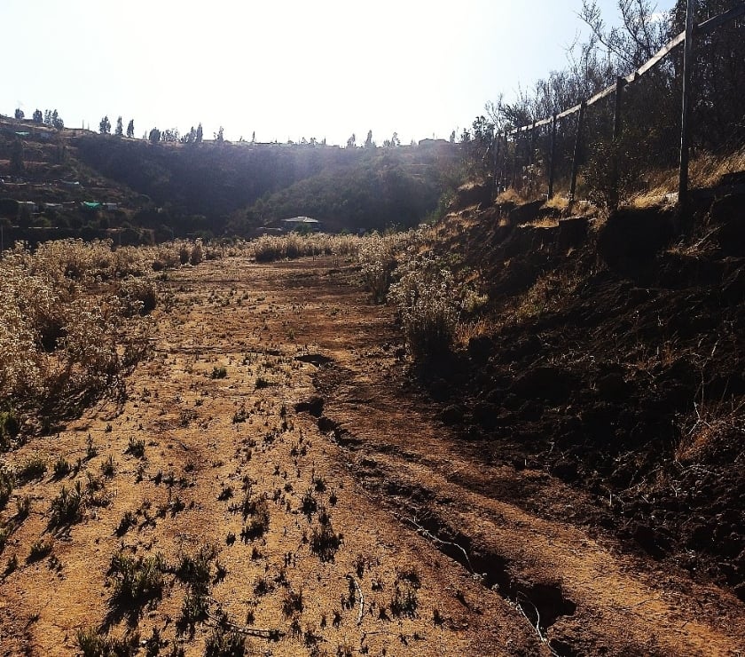 PARCELA 5000 MT2 FUNDO EL LEBU