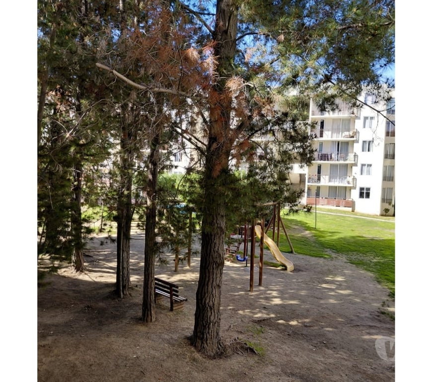 Bienes Raices Valparaíso Valparaíso - Fotos de DEPARTAMENTO SEGUNDO PISO CONDOMINIO PARQUE CURAUMA