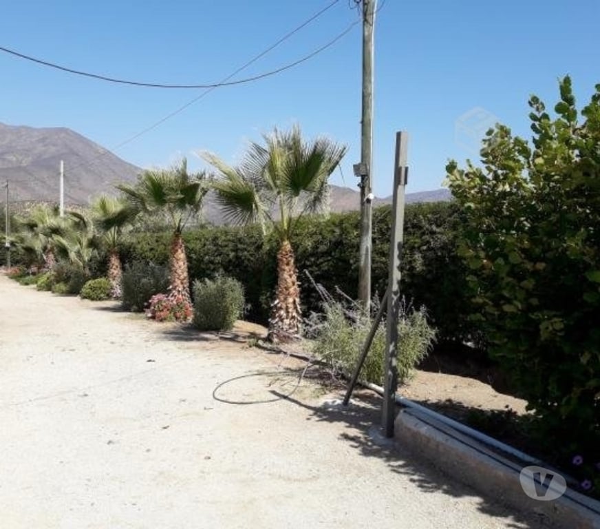 Bienes Raices Petorca Petorca - Fotos de CASA AMOBLADA EN PARCELA SECTOR PEDEGUA, PETORCA