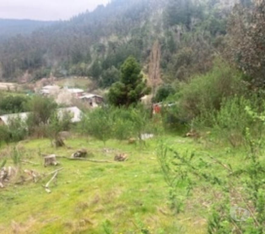 Parcelas en Venta Concepción Hualqui - Fotos de EXCELENTE PARCELA HUALQUI
