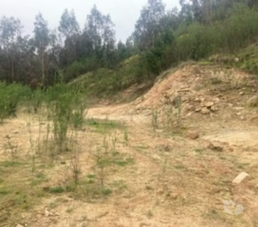 Parcelas en Venta Concepción Hualqui - Fotos de EXCELENTE PARCELA HUALQUI