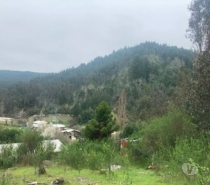 Parcelas en Venta Concepción Hualqui - Fotos de EXCELENTE PARCELA HUALQUI
