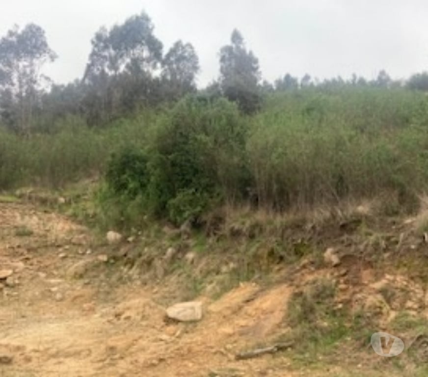 Parcelas en Venta Concepción Hualqui - Fotos de EXCELENTE PARCELA HUALQUI