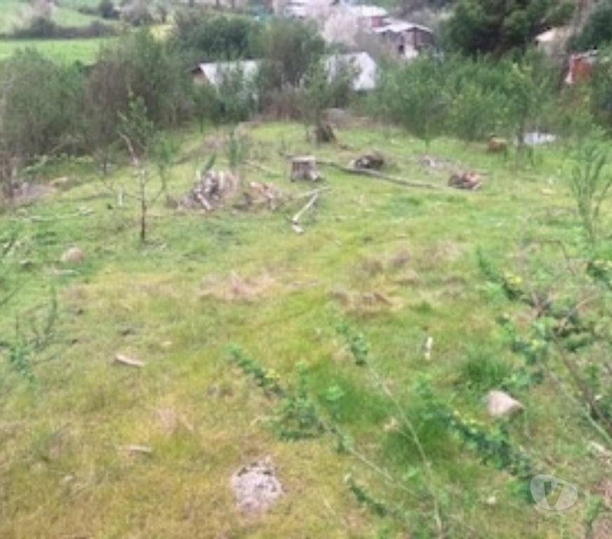 Parcelas en Venta Concepción Hualqui - Fotos de EXCELENTE PARCELA HUALQUI