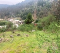 EXCELENTE PARCELA HUALQUI