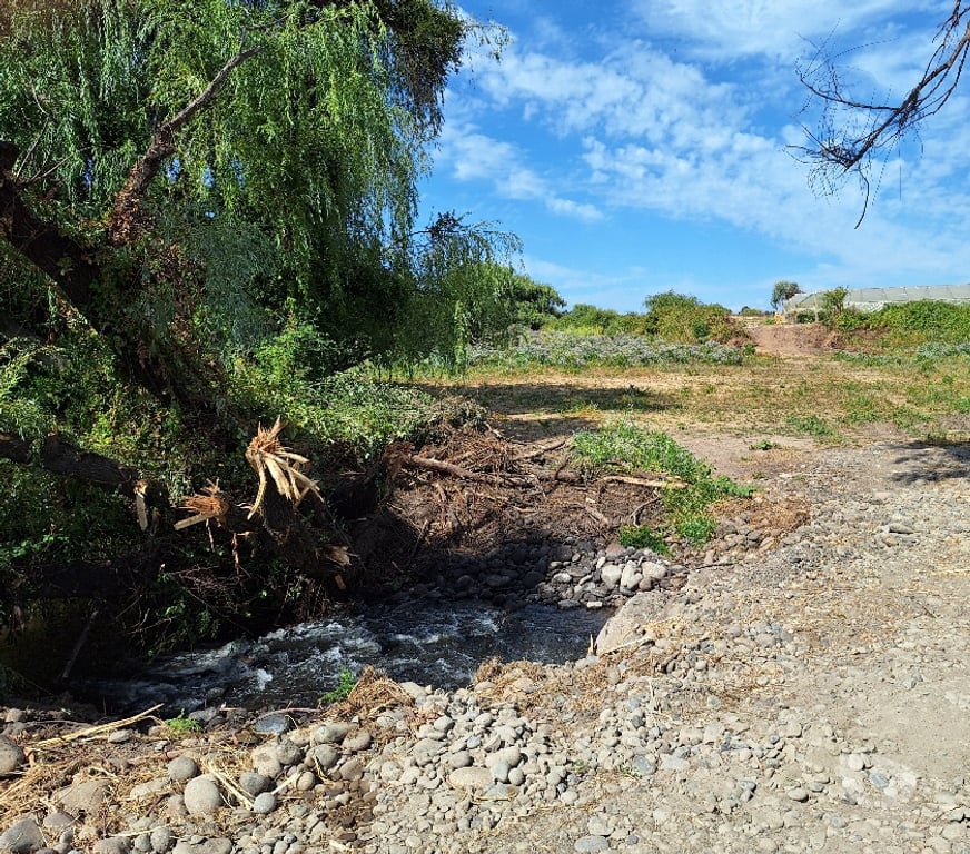 Parcelas en Venta Talca Maule - Fotos de VENDO PARCELA DE 1 HECTAREA EN UNIHUE MAULE