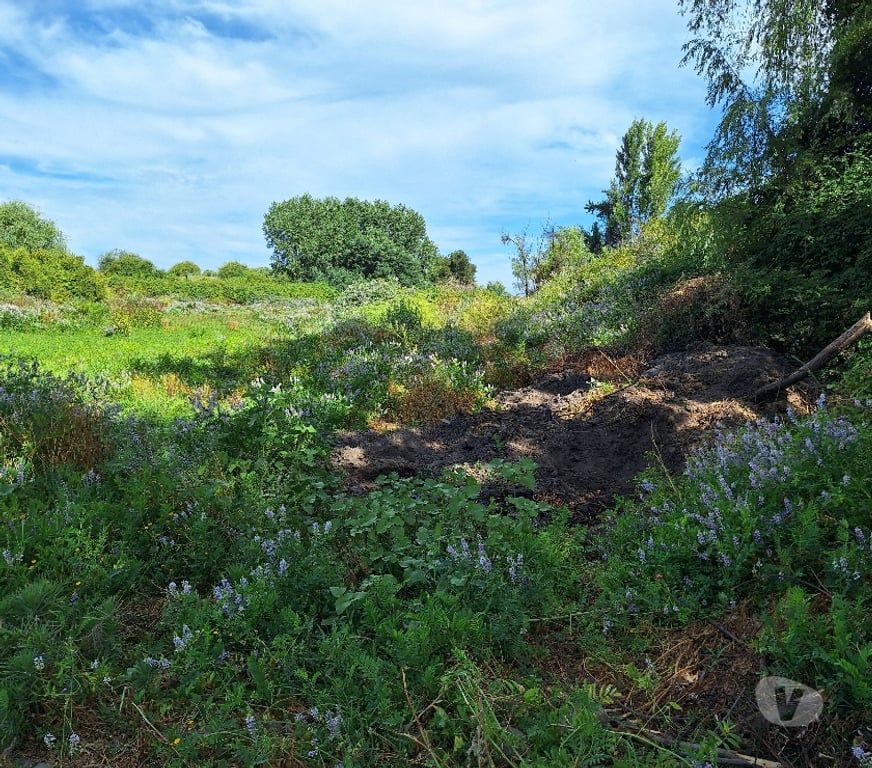 Parcelas en Venta Talca Maule - Fotos de VENDO PARCELA DE 1 HECTAREA EN UNIHUE MAULE