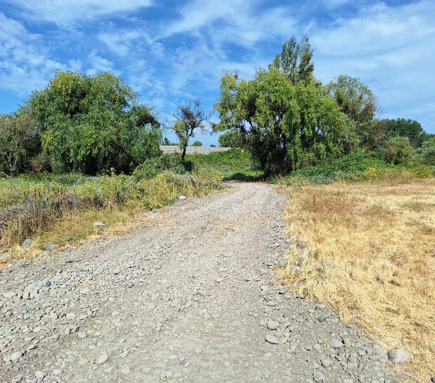 Parcelas en Venta Talca Maule - Fotos de VENDO PARCELA DE 1 HECTAREA EN UNIHUE MAULE