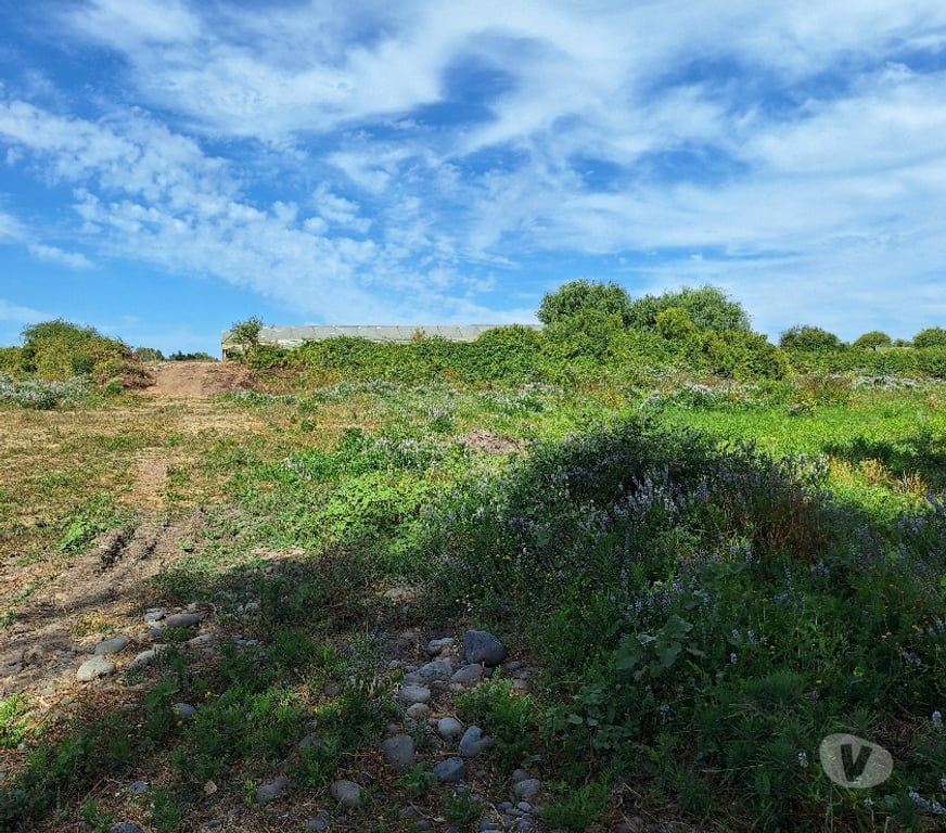 Parcelas en Venta Talca Maule - Fotos de VENDO PARCELA DE 1 HECTAREA EN UNIHUE MAULE