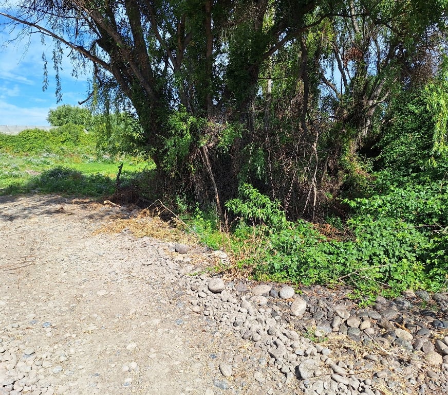 Parcelas en Venta Talca Maule - Fotos de VENDO PARCELA DE 1 HECTAREA EN UNIHUE MAULE