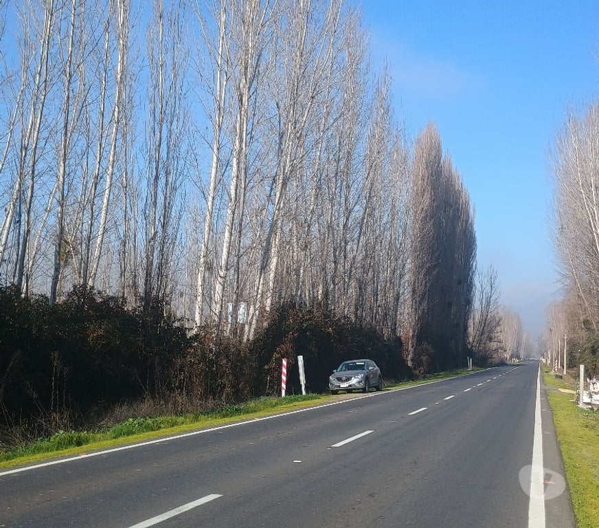 Parcelas en Venta Cachapoal Rancagua - Fotos de GRAN PARCELA DE AGRADO EN IDAHUE, COLTAUCO