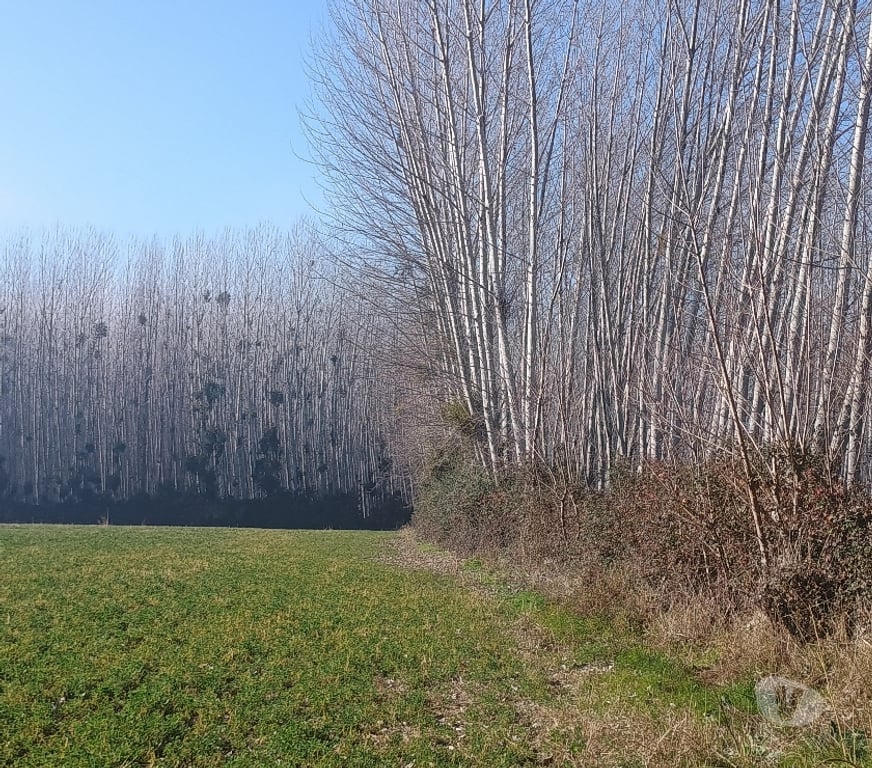 Parcelas en Venta Cachapoal Rancagua - Fotos de GRAN PARCELA DE AGRADO EN IDAHUE, COLTAUCO