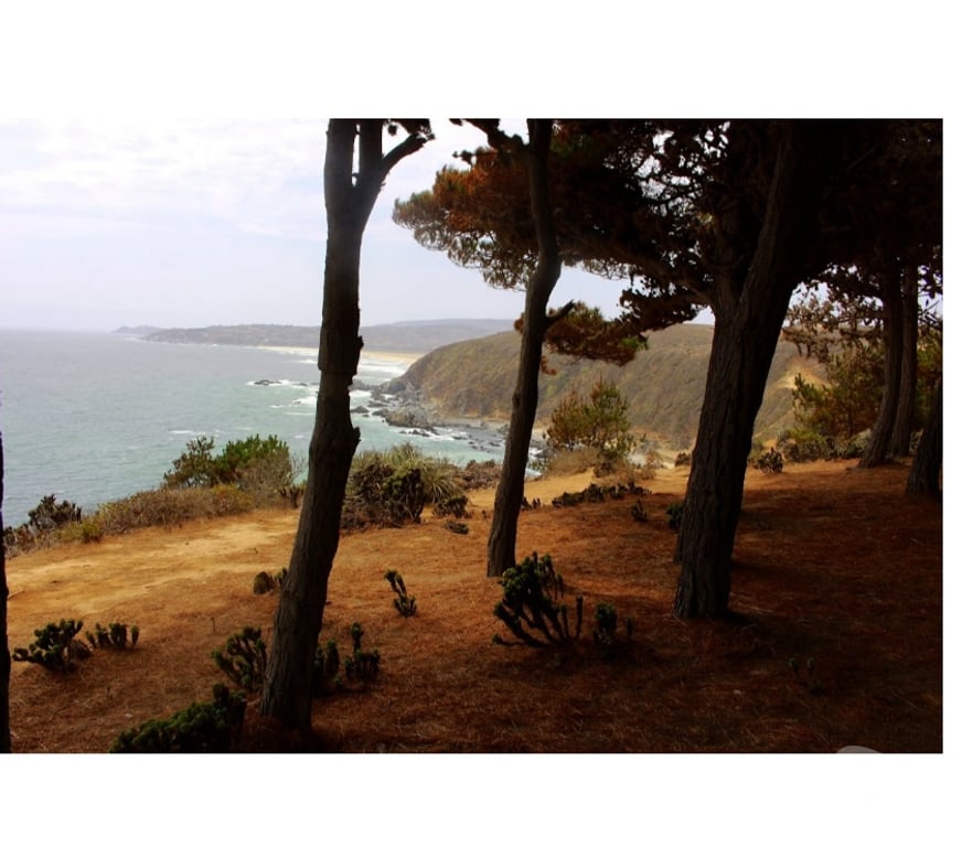 Arriendos Vacaciones Valparaíso Valparaíso - Fotos de ARRIENDO POR DIAS CABAÑA PLAYERA ALGARROBO NORTE