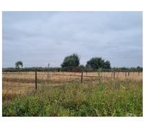 Terreno 5.7 Ha Orilla Ruta 5 Sur. Chillán. Excelente Precio