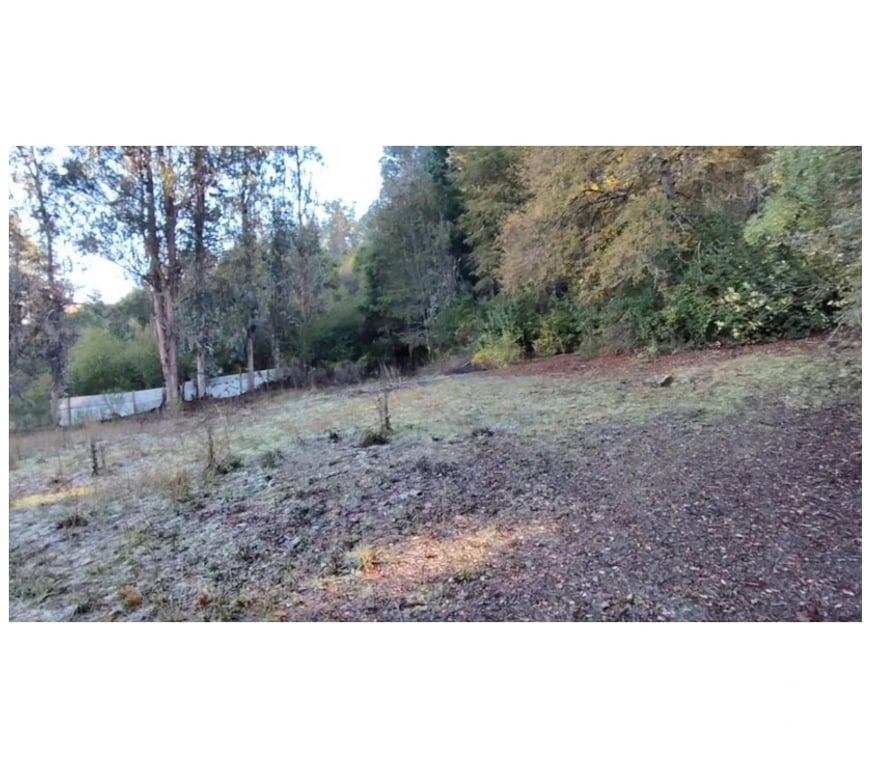 Parcelas en Venta Concepción Hualqui - Fotos de Terreno Con Casa En Quilacoya, Hualqui
