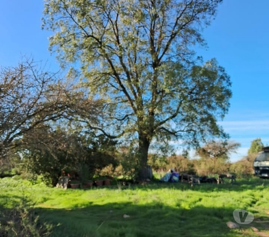 Parcelas en Venta Melipilla Melipilla - Fotos de Parcela con casa 7 Hectáreas San Pedro de Melipilla