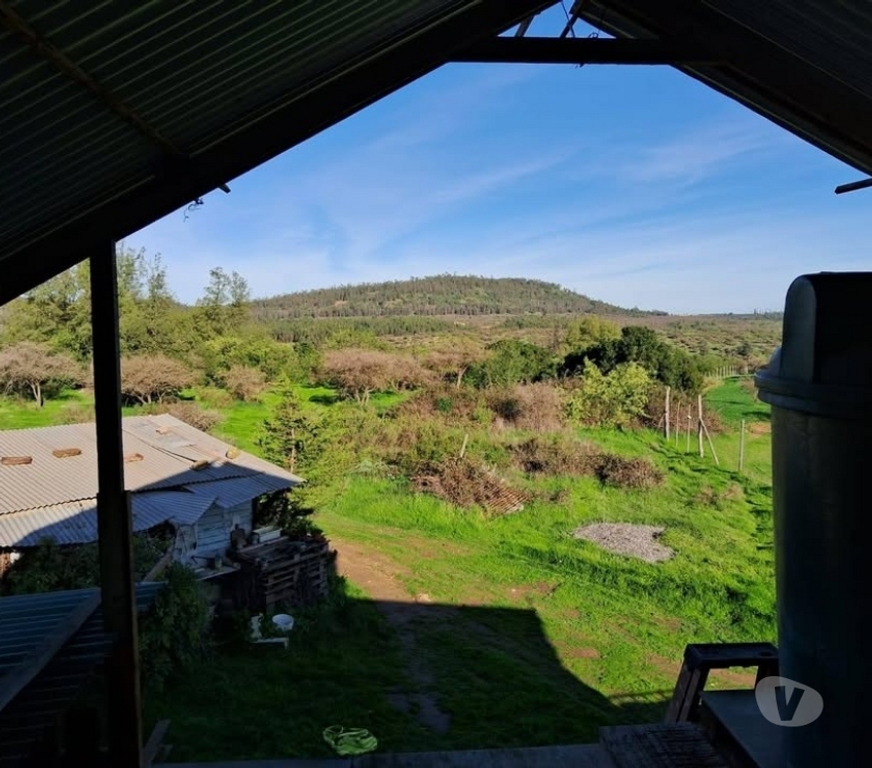 Parcelas en Venta Melipilla Melipilla - Fotos de Parcela con casa 7 Hectáreas San Pedro de Melipilla