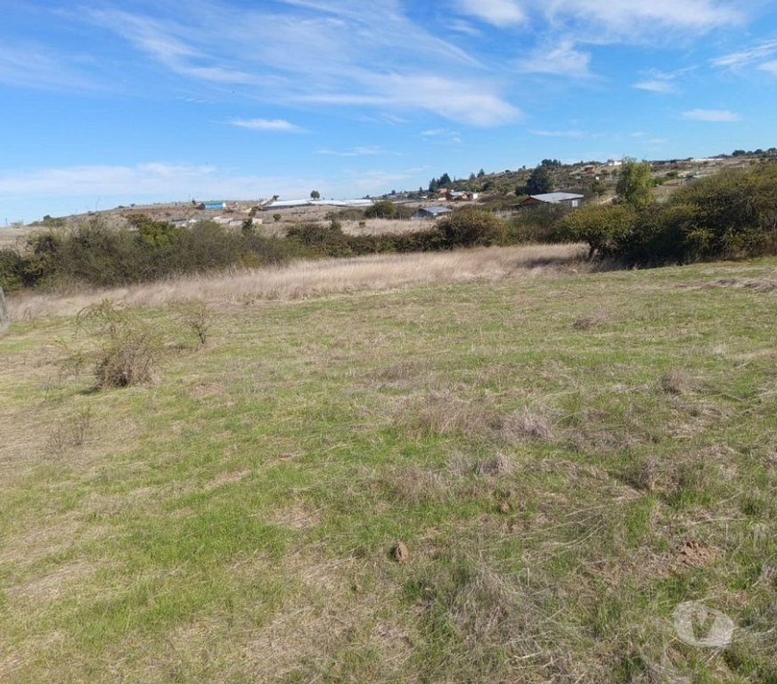 Parcelas en Venta Cardenal Caro Litueche - Fotos de PARCELA 5000 MTS2 LITUECHE