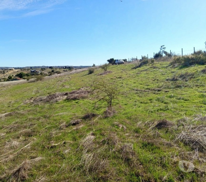 Parcelas en Venta Cardenal Caro Litueche - Fotos de PARCELA 5000 MTS2 LITUECHE