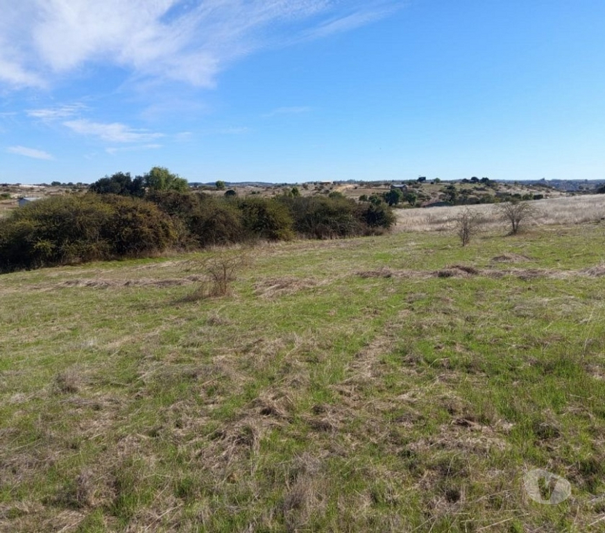 Parcelas en Venta Cardenal Caro Litueche - Fotos de PARCELA 5000 MTS2 LITUECHE