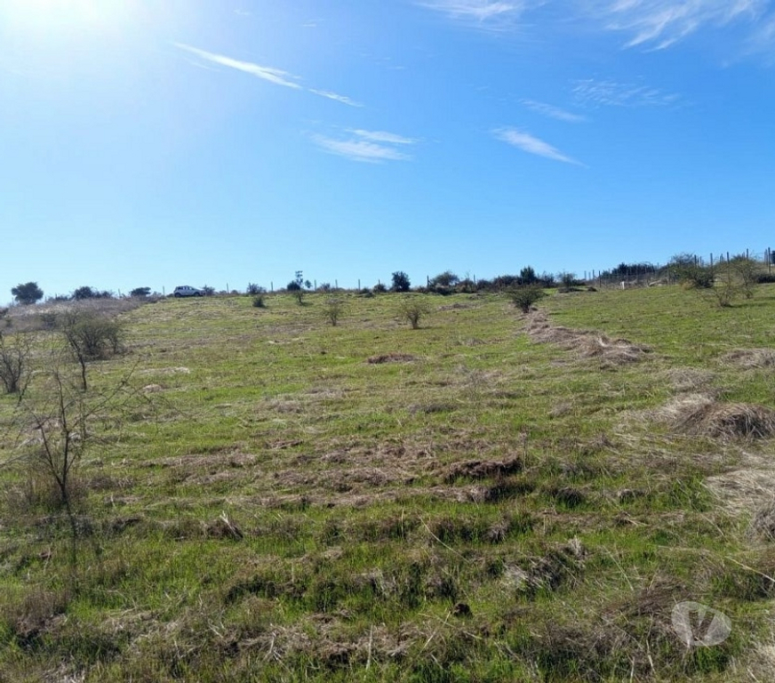 Parcelas en Venta Cardenal Caro Litueche - Fotos de PARCELA 5000 MTS2 LITUECHE